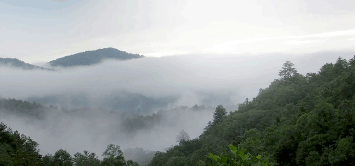 Misty mountain ridges from the supplied Long Branch Estates collection